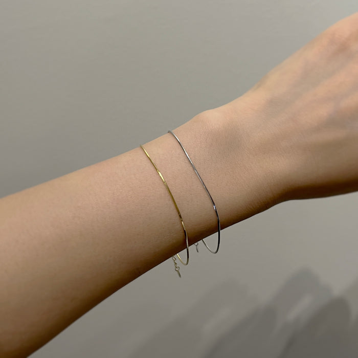 Shiny Snake Chain Bracelet