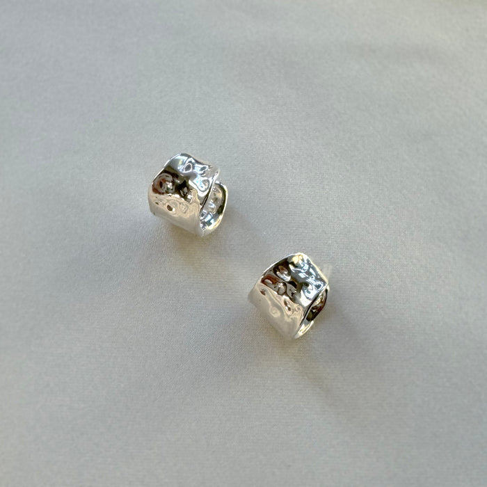 Nature’s Curve Earrings